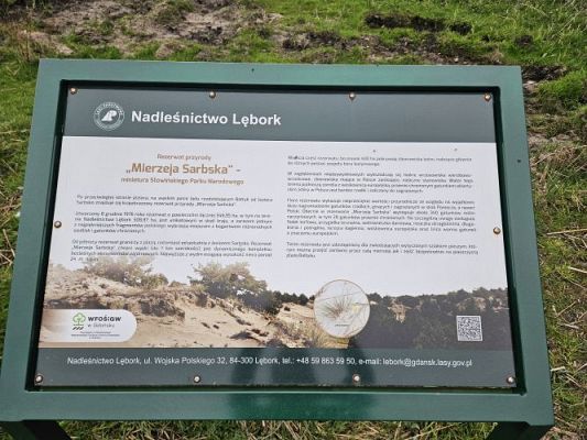 Grafika #63: 08.04.2024 Wycieczka do lasu - spotkanie z leśnikiem