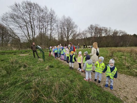 Grafika #65: 08.04.2024 Wycieczka do lasu - spotkanie z leśnikiem