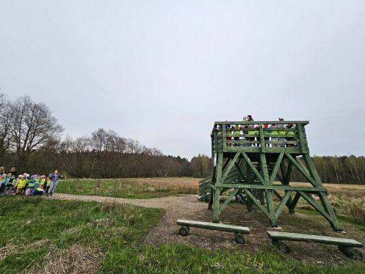 Grafika #78: 08.04.2024 Wycieczka do lasu - spotkanie z leśnikiem
