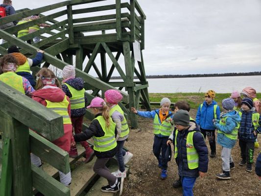 Grafika #81: 08.04.2024 Wycieczka do lasu - spotkanie z leśnikiem