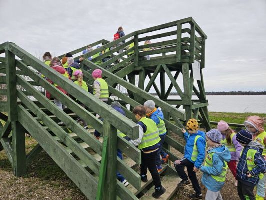 Grafika #82: 08.04.2024 Wycieczka do lasu - spotkanie z leśnikiem