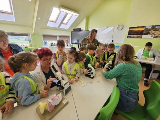 Grafika #81: 19.04.2024 Dzień Ziemi i Dzień Odnawialnych źródeł energii w Szkole Podstawowej w Wicku - cz.I