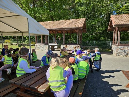 Grafika #2: 13.05.2024 Bieg Świętojański dla Przedszkolaków