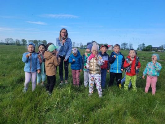 Grafika #7: 09.05.2024 Piknik na majowej łące gr I, II