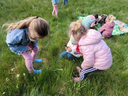 Grafika #16: 09.05.2024 Piknik na majowej łące gr I, II