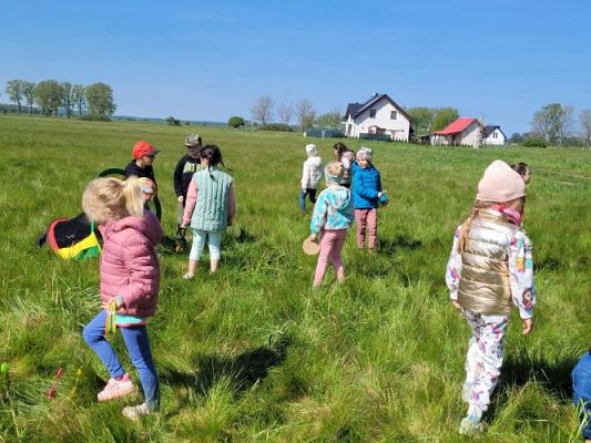 Grafika #24: 09.05.2024 Piknik na majowej łące gr I, II