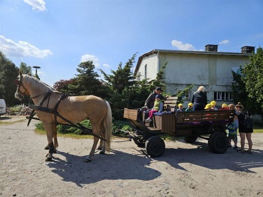 Grafika #12: 05.06.2024 Wycieczka do Stadniny koni w Nowęcinie cz.I