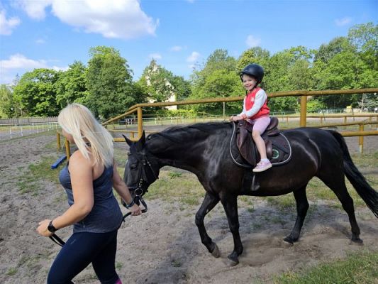 Grafika #25: 05.06.2024 Wycieczka do Stadniny koni w Nowęcinie cz.I