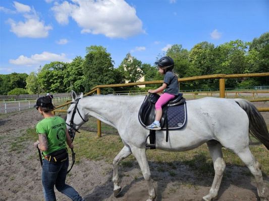 Grafika #26: 05.06.2024 Wycieczka do Stadniny koni w Nowęcinie cz.I