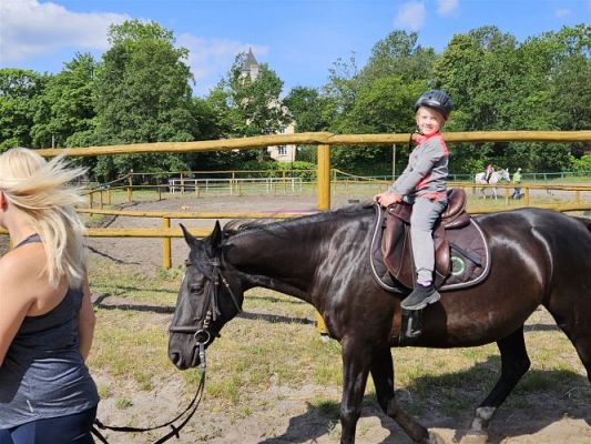 Grafika #32: 05.06.2024 Wycieczka do Stadniny koni w Nowęcinie cz.I