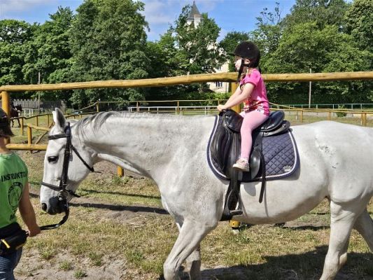 Grafika #33: 05.06.2024 Wycieczka do Stadniny koni w Nowęcinie cz.I