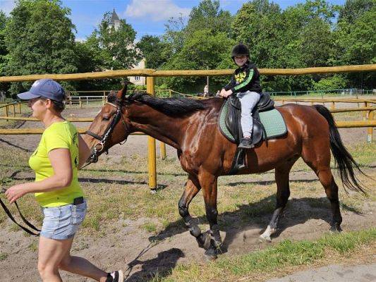 Grafika #39: 05.06.2024 Wycieczka do Stadniny koni w Nowęcinie cz.I