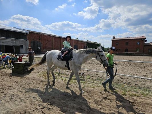 Grafika #44: 05.06.2024 Wycieczka do Stadniny koni w Nowęcinie cz.I