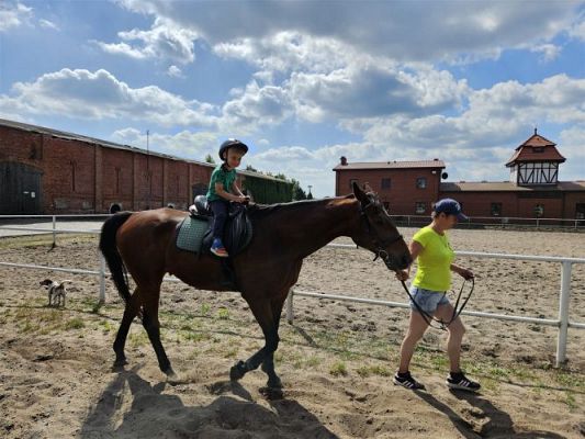 Grafika #46: 05.06.2024 Wycieczka do Stadniny koni w Nowęcinie cz.I