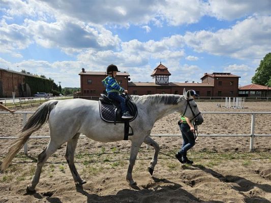 Grafika #47: 05.06.2024 Wycieczka do Stadniny koni w Nowęcinie cz.I