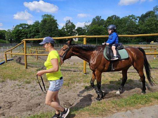 Grafika #49: 05.06.2024 Wycieczka do Stadniny koni w Nowęcinie cz.I