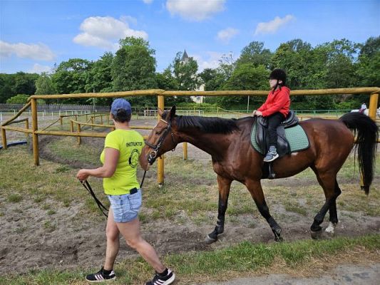 Grafika #52: 05.06.2024 Wycieczka do Stadniny koni w Nowęcinie cz.I