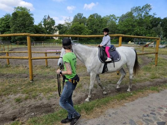 Grafika #53: 05.06.2024 Wycieczka do Stadniny koni w Nowęcinie cz.I