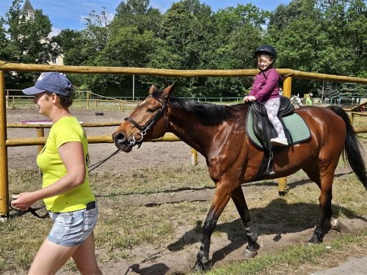 Grafika #56: 05.06.2024 Wycieczka do Stadniny koni w Nowęcinie cz.I