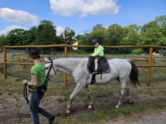 Grafika #61: 05.06.2024 Wycieczka do Stadniny koni w Nowęcinie cz.I