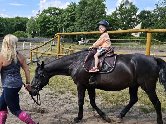 Grafika #63: 05.06.2024 Wycieczka do Stadniny koni w Nowęcinie cz.I
